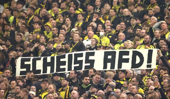 Il Borussia Dortmund contro l’AfD: “No all’uso politico dei nostri colori”- immagine 3