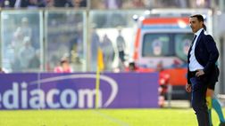 SONDAGGIO VN – Il risultato su esonero Palladino: maggioranza bulgara