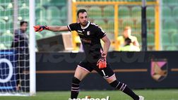 Ex Palermo, Brignoli: “Desplanches ha fatto bene con l’under 21, giocare a Palermo non è facile”