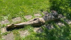 Tifosi viola: il ‘Nodo Capecchi’ guarisce anche l’arte