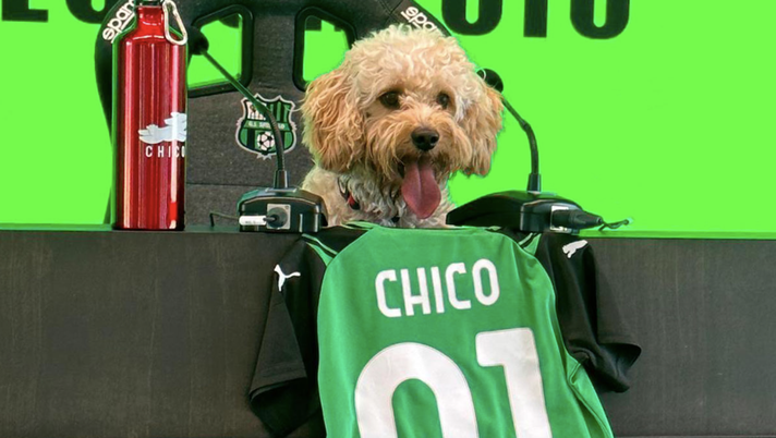 Sassuolo, i neroverdi annunciano un nuovo acquisto: il piccolo Chico - immagine 1