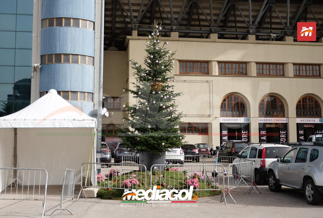 FOTO PALERMO, albero di Natale allo Stadio ‘Renzo Barbera’ (Gallery) - immagine 5