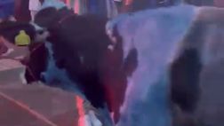 Clamoroso alla festa Inter, in piazza Duomo spunta una mucca nerazzurra!