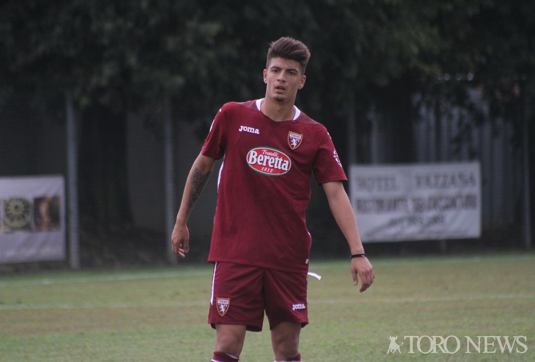 Cancello Torino Primavera