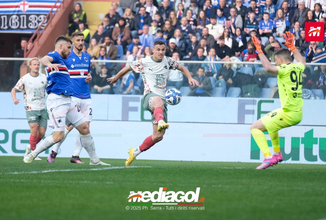 FOTO Sampdoria – Palermo | Serie B 2024 - immagine 5