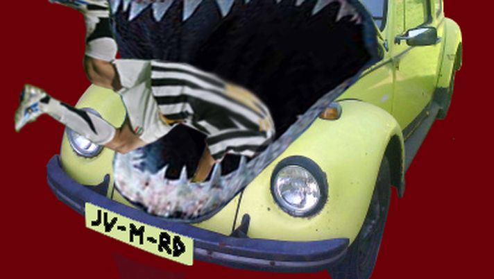 Gino il Maggiolino - immagine 1