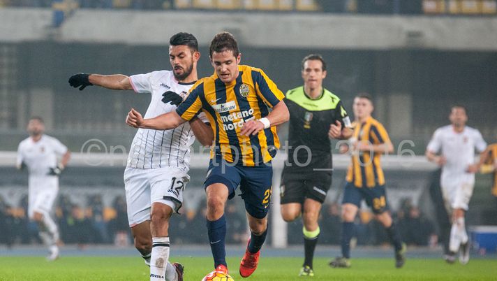 TORINO-VERONA, LE FORMAZIONI UFFICIALI  TORINO-VERONA, LE FORMAZIONI UFFICIALI - immagine 1