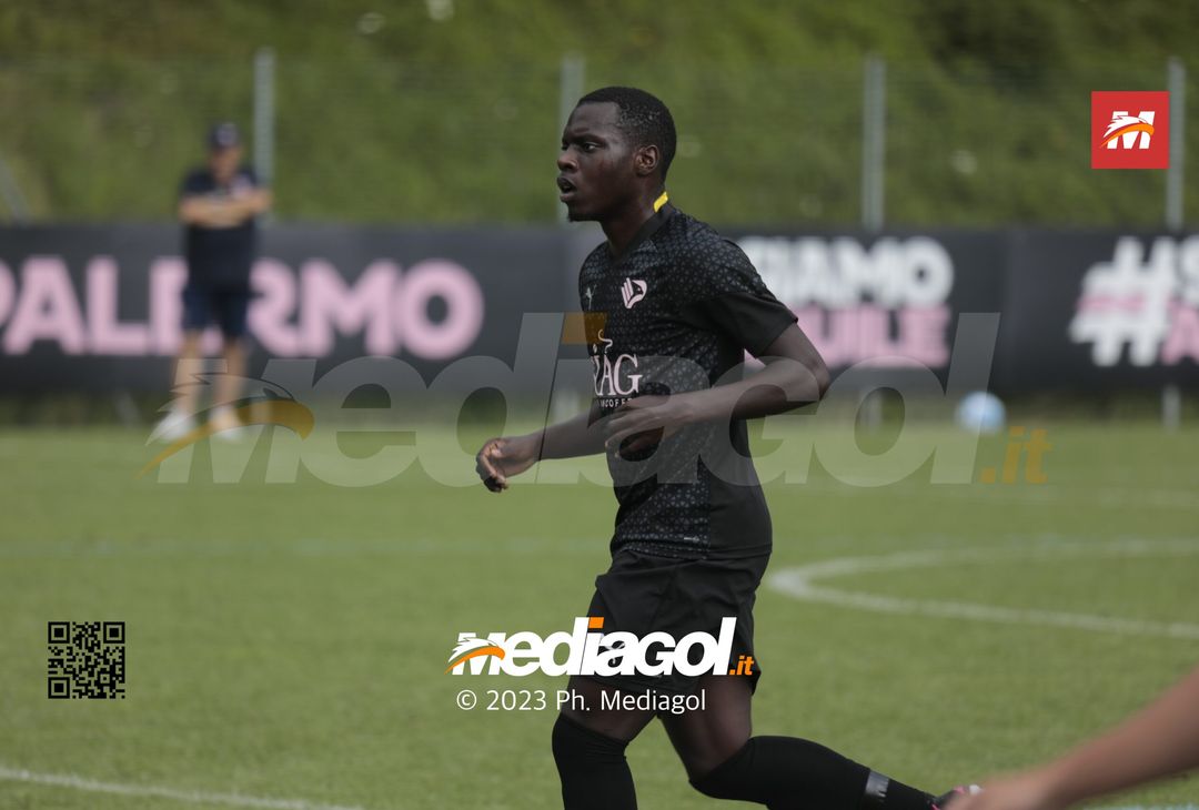 FOTO Palermo-Virtus Verona 0-1 (Gallery) - immagine 45