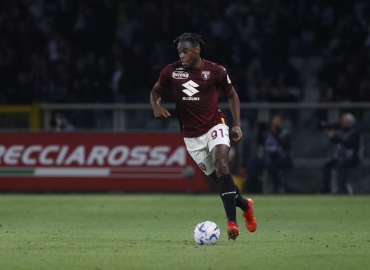 Toro, il pagellone di fine stagione: Zapata 7.5, oltre le più rosee aspettative- immagine 2