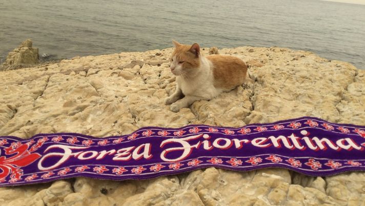 Il Giglio chiede calma e umiltà per affrontare la Cremonese (VIDEO) - immagine 1