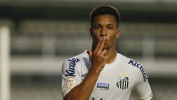 Dal Brasile: “Alla Fiorentina piace un attaccante e lui vuole l’Europa”