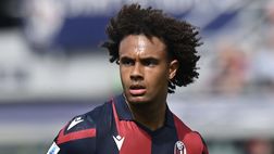 Bologna, Fenucci: “Abbiamo solidità, ma Zirkzee è l’unico che può decidere”